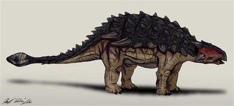 Jurassic Park Ankylosaurus By Nikorex On Deviantart In 2020 Jurassic Park Jurassic Park T