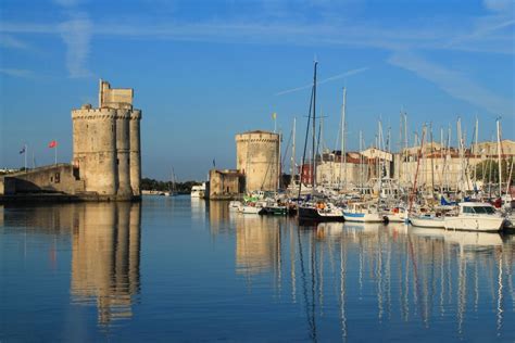 La Rochelle Société de Désinsectisation Cafards et Blattes SOLUTY