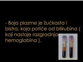 Krvna Plazma Ppt