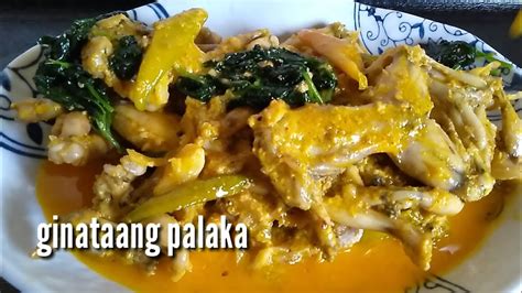 Ganito Ang Gawin Mo Sa Palaka Siguradong Mapapadami Ang Kain Mo