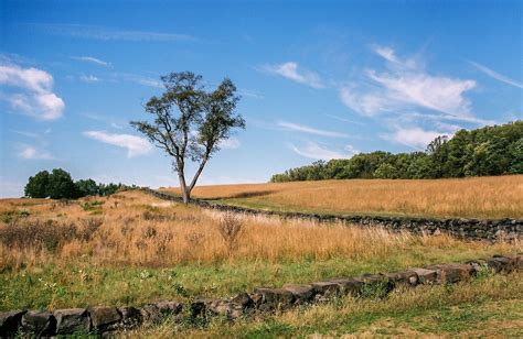 Delawarescene Brandywine Creek State Park Wilmington De