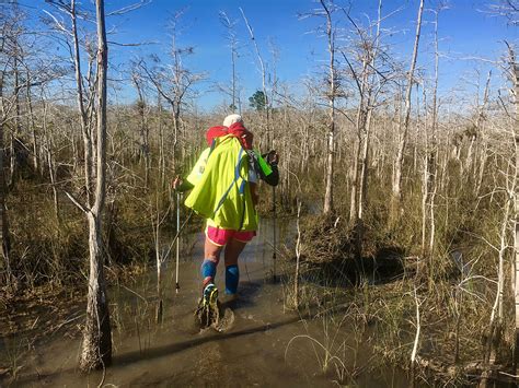 How to Hike Through Big Cypress Swamp - The Thousand Miler