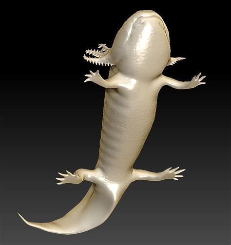 Axolotl 3D Model