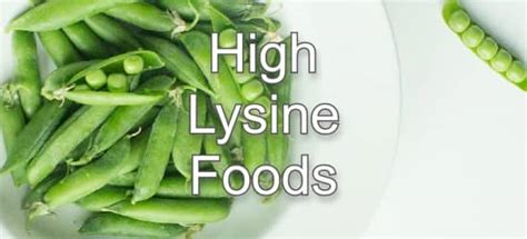 Top 10 Foods Highest In Lysine