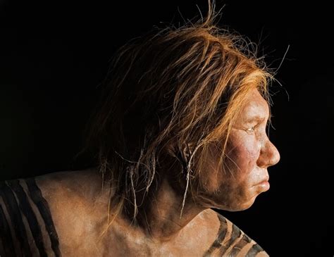 Neanderthals, Humans Interbred—First Solid DNA Evidence | National
