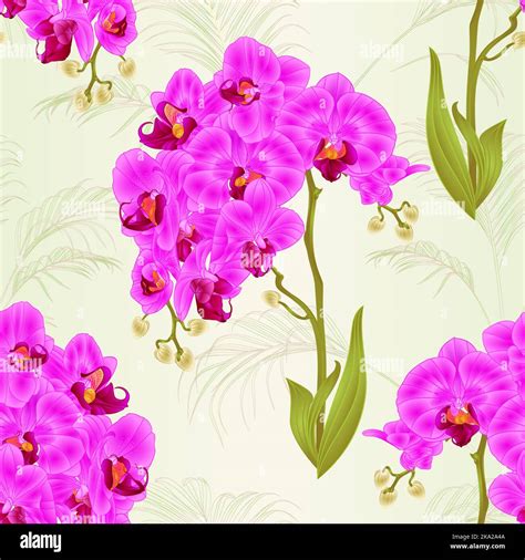 Seamless Texture Branches Orchid Phalaenopsis Purple Flowers And Leaves