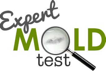 Ermi Vs Air Sampling Choosing The Right Mold Testing Method Expert