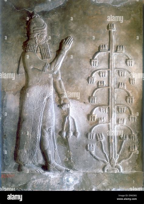 Sargon I, king of Mesopotamia who reigned c2334-c2279 BC. Founder of the Akkadian Semitic ...