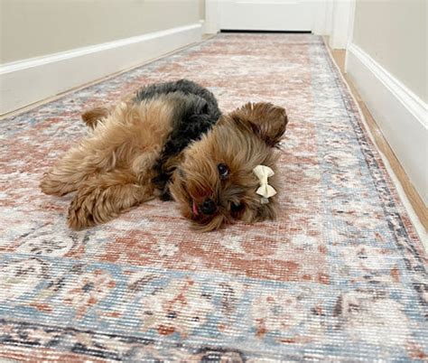Where to Put a Runner Rug | Style Guide– Tumble