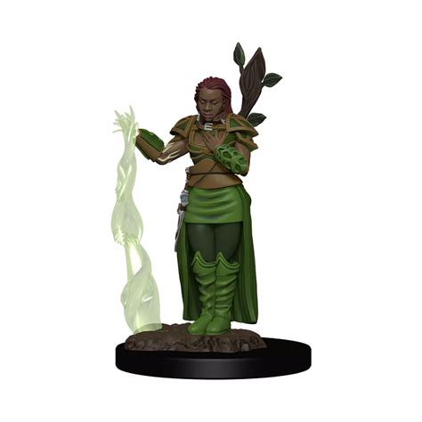 Nolzur S Marvelous Premium Painted Miniatures Human Female Druid