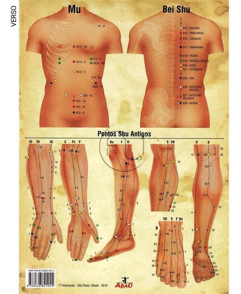 Mapa Elementos Medicina Tradicional Chinesa Mtc A Un Mercado Livre