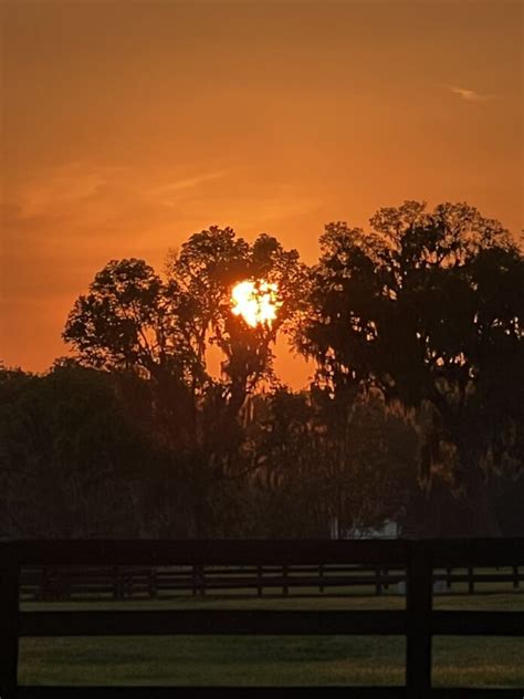 Beautiful Sunset Over Nw Ocala Ocala