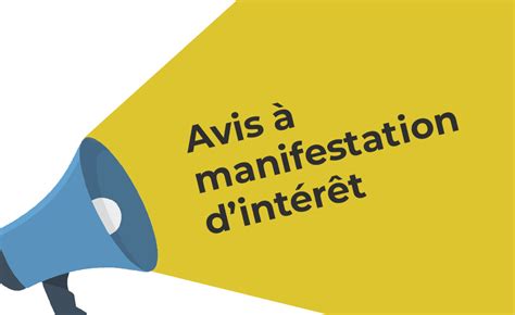 Avis Manifestation D Int R T Pour Le Recrutement D Un Consultant