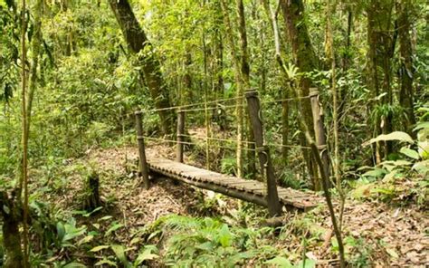 O Que Fazer No Parque Das Neblinas SP Atrativos Trilhas Dicas E Mais