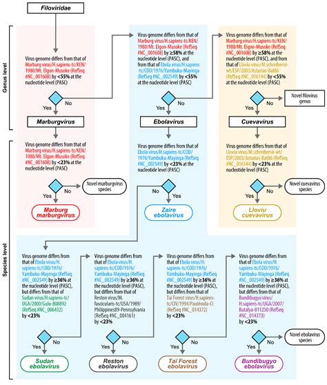 Viruses Free Full Text Implementation Of Objective Pasc Derived