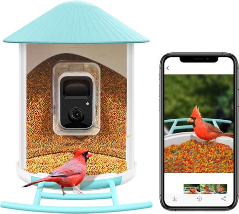 Amazon.com: NUOTUN Smart Bird Feeder Camera with Solar - Bird Watching ...