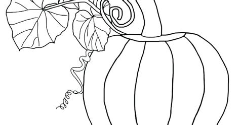 Pumpkin Leaves Drawing At Explore Collection Of