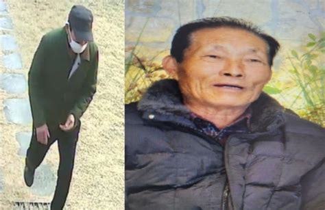 전주 효자동 인근서 70대 남성 실종경찰 수색 노컷뉴스