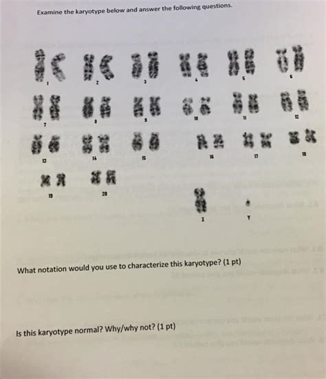 Solved Examine The Karyotype Below And Answer The Following Chegg