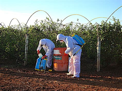 Necesario Inhibir El Uso De Fertilizantes Qu Micos En La Agricultura