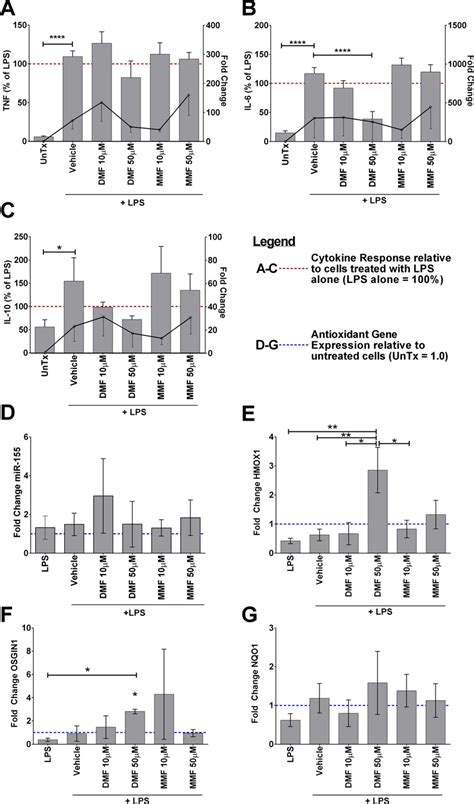 Dmf Treatment Inhibits Lps Induced Il And Induces Hmox Expression