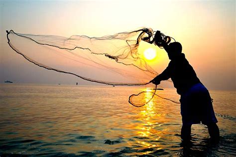 21 De Noviembre Día Mundial De La Pesca Yvke Mundial De La Mano Con