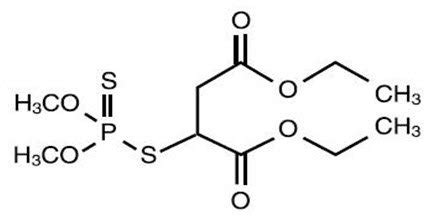 Malathion: Package Insert - Drugs.com