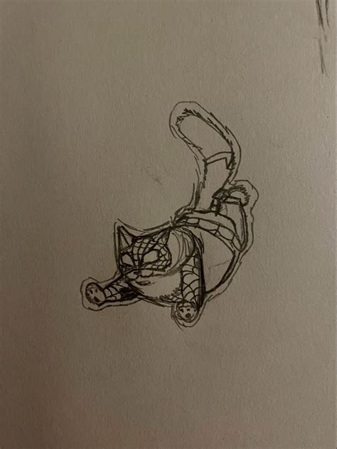 🐈 Spider cat | Spiderman drawing, Spider drawing, Spiderman art sketch