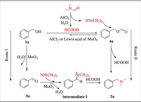 The Possible Reaction Mechanism Of N Ndimethylamination Of Bnoh