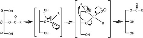 Reaction Mechanism Of Acyl Migration Download Scientific Diagram