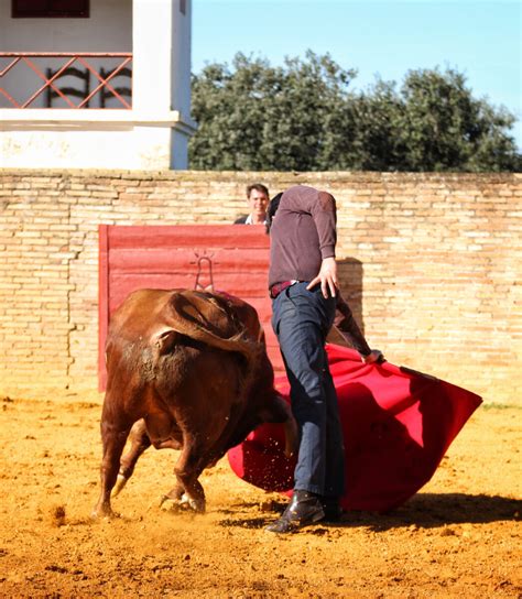 Esaú Fernández En Ave María Aplausos Es