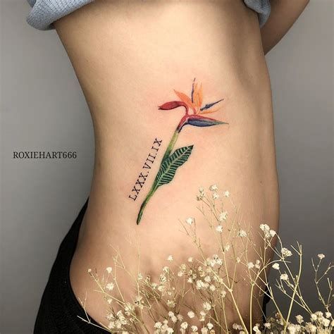 Bird Of Paradise Tattoo Birds Of Paradise Tattoos And Piercings