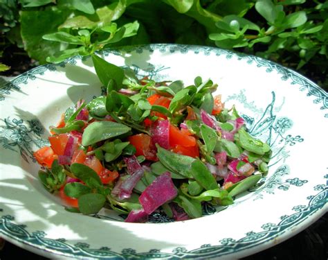 Purslane Recipes Salad | Dandk Organizer