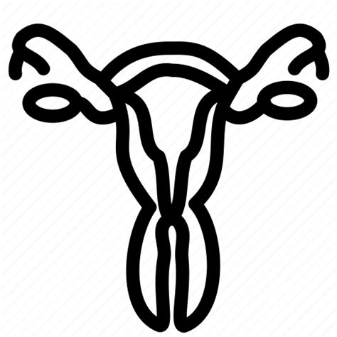 Female Medical Reproductive Uterus Vagina Woman Icon