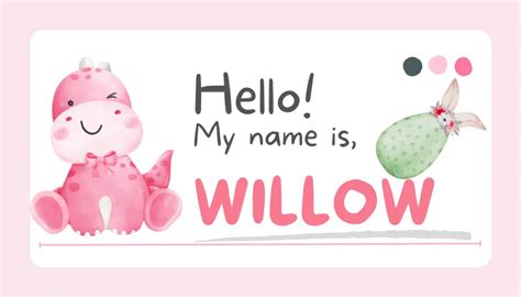 Willow Name Origin Popularity Biblical Spiritual Meaning