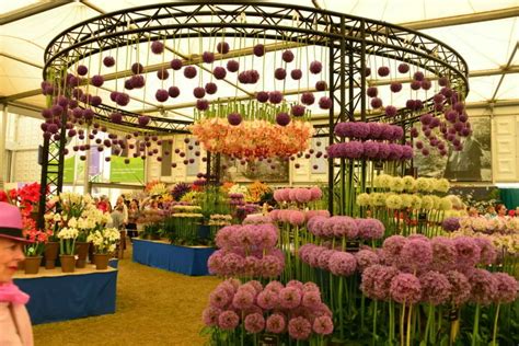 Chelsea Flower Show 2023 & Gardens in Kent, Surrey & Sussex ...