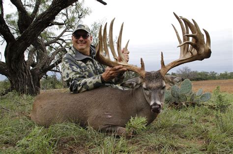 Hunt Texas Whitetail Deer, Axis Deer, Scimitar-Horned Oryx at the ...