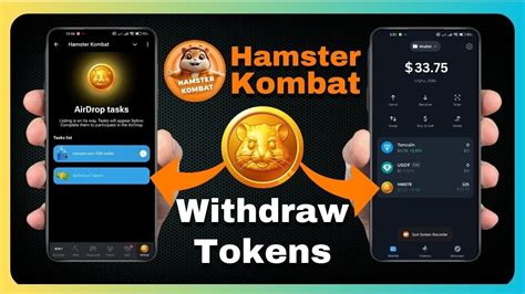 Hamster Kombats Biggest Update Yet Connect This Wallet Now Cash