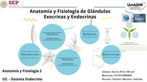 Anatomía y fisiología de glándulas Exocrinas y Endocrinas by Héctor