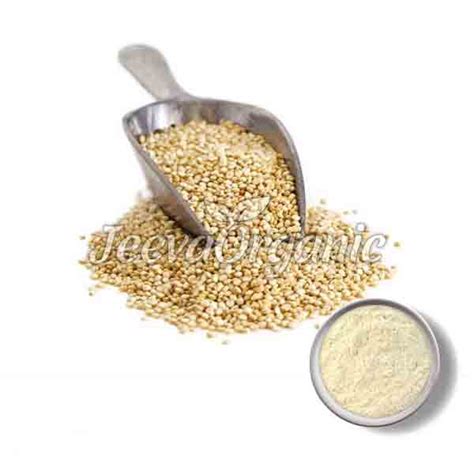 Organic Amaranth Powder Supplier Bulk Amaranth Powder Supplier