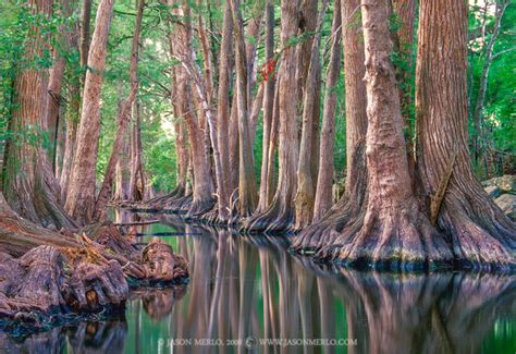 Cibolo Nature Center Images Jason Merlo Photography