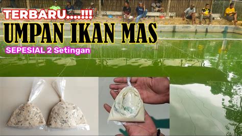 RASAKAN BOS SENSASI UMPAN BARUSatu Racikan 2 UmpanUmpan Putih Umpan