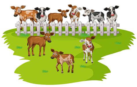 Many Cows On The Farmyard 526721 Vector Art At Vecteezy