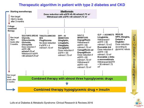 Ppt Update On Oral Hypoglycemic Agents Use In Ckd Powerpoint