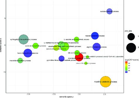 Scatterplot Of The Top 26 Pathways Based On Go Terms Cluster