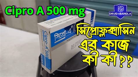 Cipro A 500 tablet ciprocin 500 ক কজ কর ciprofloxacin 500mg