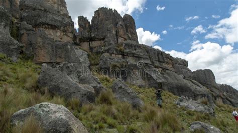 Magie Du P Rou Photo Stock Ditorial Image Du Lama