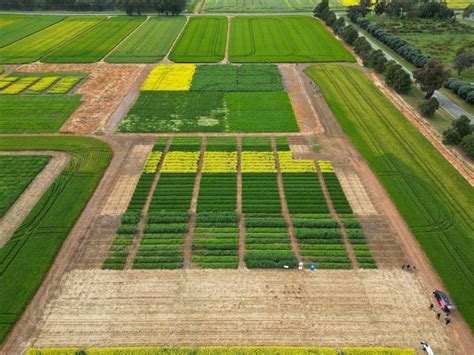 Dookie Field Day Update Video In Post Victoria Drought Resilience