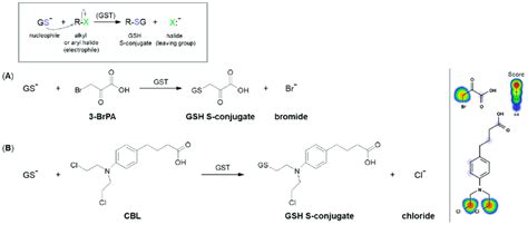 Reaction Schemes Of Nucleophilic Substitution Of The Thiolate Anion Of