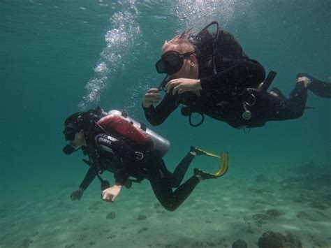 Fujairah Scuba Diving Experience With Bbq Lunch Transfer Getyourguide